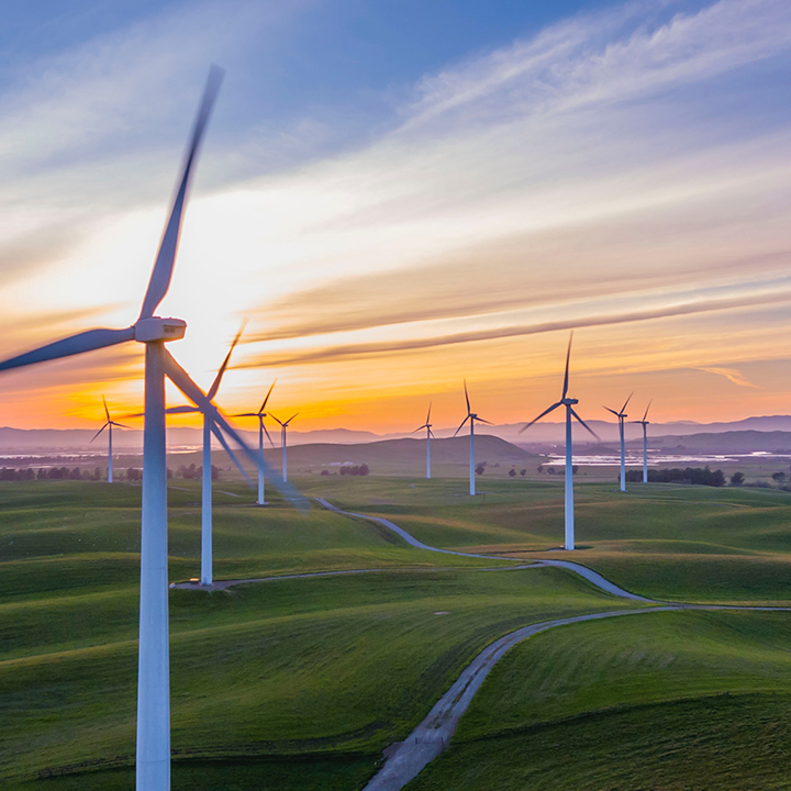 A wind farm